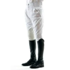 Mens Riding Breeches By Premier Equine - Benedict